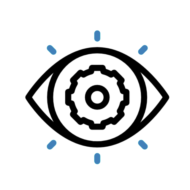 Vision